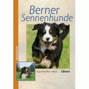 Berner Sennenhunde