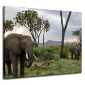shumee Platno s tiskom Živali Sloni Savannah 100x80