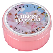Kringle Candle Cherry Blossom čajna sveča 35 g
