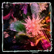 Camila Fuchs - Kids Talk Sun (Limited Edition) (LP)