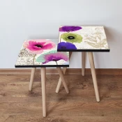 Hanah Home Set klub stolova, 2 komada Šareni