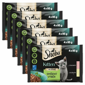 Sheba Kitten mešani izbor vrečk hrane v soku 6 x (4 x 85 g)
