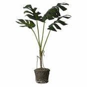 Lene Bjerre Monstera z žogo FLORA 60x45x86 cm