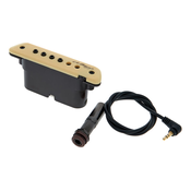 LR Baggs M1 soundhole magnet