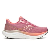Saucony Triumph 23