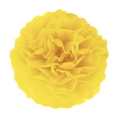 Papirnat pompon – rumen, 25 cm