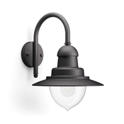 Philips 01652/30/PN - Zunanja stenska svetilka RAINDROP 1xE27/60W/230V IP44