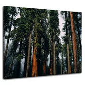 shumee Platno Narava Gozd Iglavci 100x80