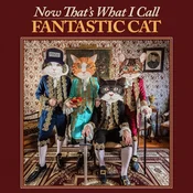 Fantastic Cat - Now Thats What I Call Fantastic Cat (LP)