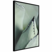 Poster - Young Leaf of Agave 40x60