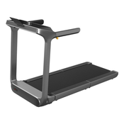 Kingsmith pametna tekalna steza WalkingPad X218, črna
