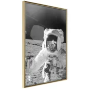 Poster - Space Fun 30x45