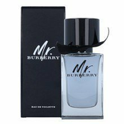 BURBERRY - Mr. Burberry EDT  (100ml)