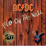 AC/DC - Fly On The Wall (Gold Coloured) (180 g) (Anniversary Edition) (LP)