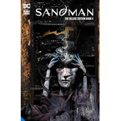The Sandman: The Deluxe Edition Book Four