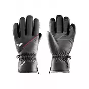 ZANIER RAURIS.GTX Ski Gloves