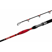 Delphin DANGER CatFISH 2,85 m 350 g 2 deli