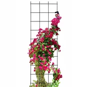 KADAX Vrtna pergola kovinska opora za rastline, vrtnice in rože, dimenzije 45x150 cm