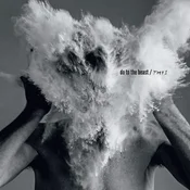 The Afghan Whigs - Do To The Beast (Limited Edition) (180 g) (2 LP)