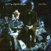 Julia Blair - All Of My Important Things (LP)