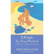 Pebble for Your Pocket