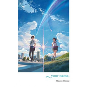 your name. (light novel)