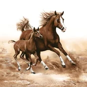 Serviete za decoupage Horses - 1 kos
