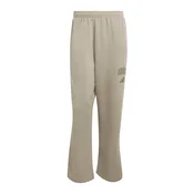 ADIDAS SPORTSWEAR Športne hlače COLLEGIATE svetlo siva