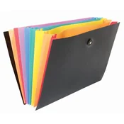 Viquel expanding organizer Rainbow class ( 04CK09 )