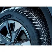 DUNLOP zimska pnevmatika 205/55R16 91H WINTER
