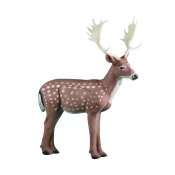 Rinehart Target 3D Fallow Deer