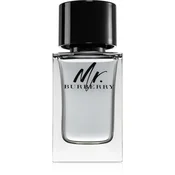 Burberry Mr. Burberry toaletna voda 100 ml za moške