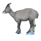 SRT Target 3D Ibex Female