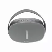 Bluetooth zvucnik W-King T6 5W siva