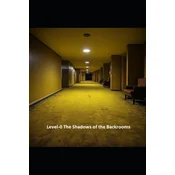 Level-0 The Shadows of the Backrooms