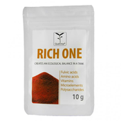 Rich One pred začetkom novega akvarija 10 g