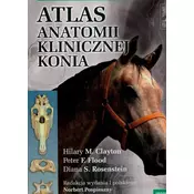Atlas anatomii klinicznej konia
