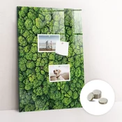 tulup.si Steklena magnetna tabla Narava gozdnih dreves 60x90 cm
