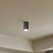 TK Lighting Vrhnja svetilka, enojni plamen, rjava - Dnevna soba/jedilnica - Sodobni - temno rjava mat - Kovina