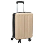 vidaXL Zložljiva Potovalna Torba Trda 20 Champagne 34x23x55.5 cm ABS