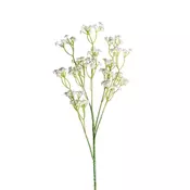 GIPSOFILA