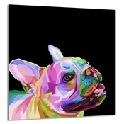 shumee STEKLENA PLOŠČA ZA KUHINJO 60x65 Pes