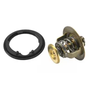 shumee Wahler 4269.78D Termostat, hladilno sredstvo
