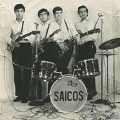 Los Saicos - Demolición (Reissue) (7)