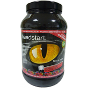 HEADSTART prehransko dopolnilo Focus Plus Pulver, gozdne jagode, 1500 g