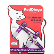 Red Dingo | Ovratnica & povodec za mačke vijola s pikami