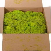 Dekorativna prirodna mahovina N54, 500g, Svetlozelena