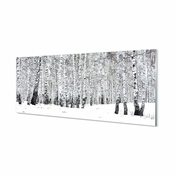 tulup.si Stenska plošča za kuhinjo Zimske breze 140x70 cm