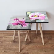 Hanah Home Set klub stocica 2Shp459, 2 komada, Šareni