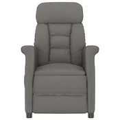 vidaXL vidaXL Naslanjač Temno Siva, (22054586)
